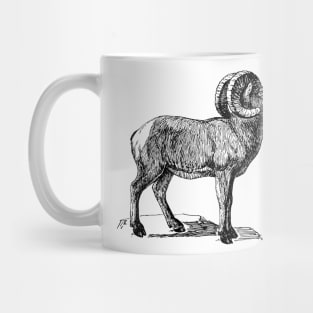 Bighorn Mug